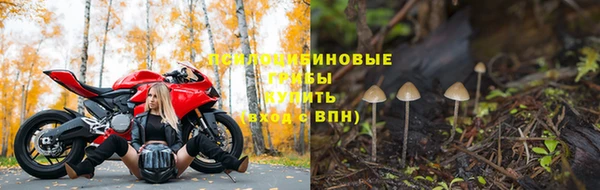 дживик Медногорск