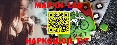 СК Кандалакша