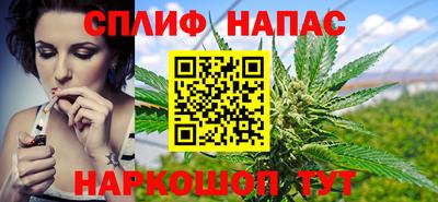 СК Кандалакша